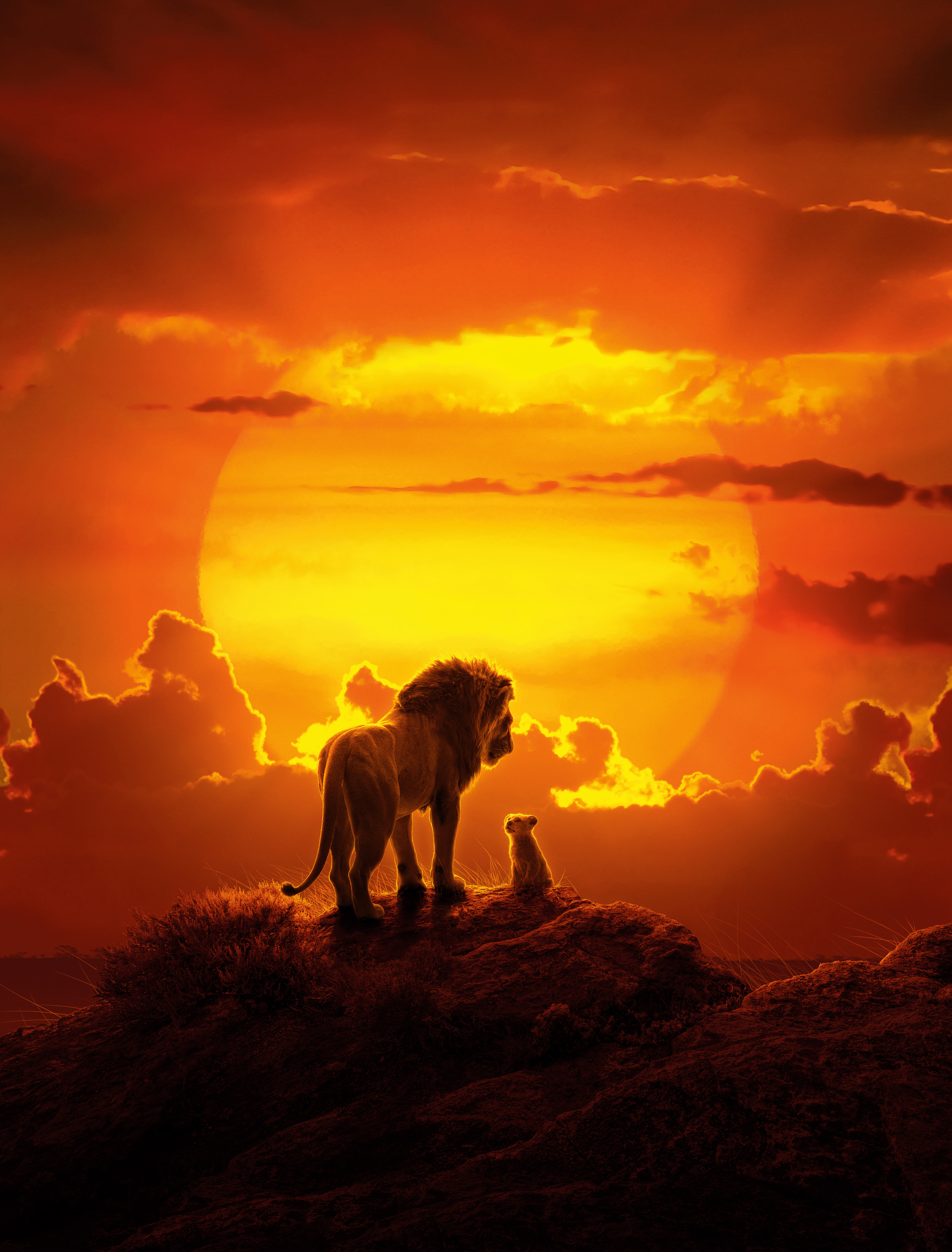 The Lion King Wallpaper 4K, Simba, Mufasa, Lion cub